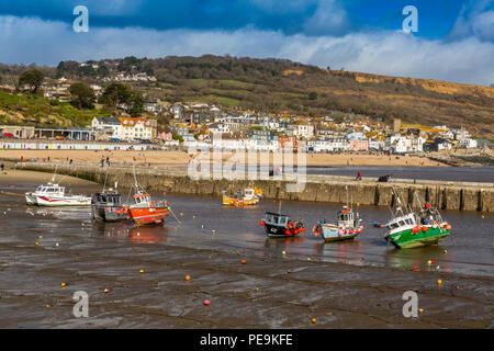 Eine niedrige Spring Tide mit bunten Fischerboote im Hafen in Lyme Regis auf der Jurassic Coast, Dorset, England, Großbritannien Stockfoto