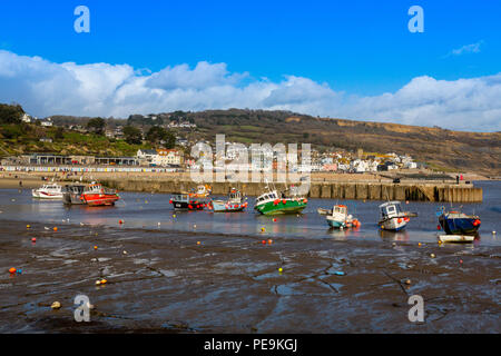 Eine niedrige Spring Tide mit bunten Fischerboote im Hafen in Lyme Regis auf der Jurassic Coast, Dorset, England, Großbritannien Stockfoto