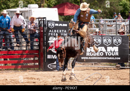 Professionellen Cowboys konkurrieren in der Saddle bronc Teil der 2018 Ram Rodeo Tour in Exeter, Ontario, Kanada. Stockfoto