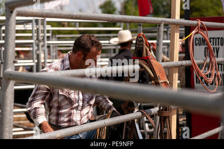 Professionellen Cowboys konkurrieren in der Saddle bronc Teil der 2018 Ram Rodeo Tour in Exeter, Ontario, Kanada. Stockfoto