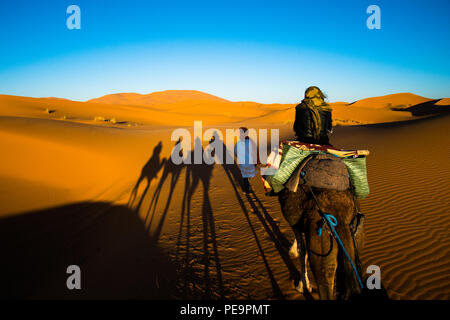 Touristische ist auf einem Kamel reiten in Caravan über die Sanddünen der Sahara mit starken Kamel Schatten auf einem Sand Stockfoto