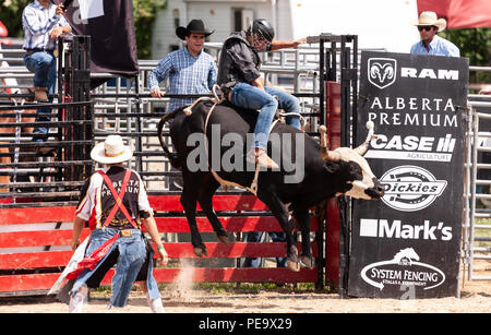 Professionellen Cowboys konkurrieren in den Stier reiten Teil der 2018 Ram Rodeo Tour in Exeter, Ontario, Kanada. Stockfoto