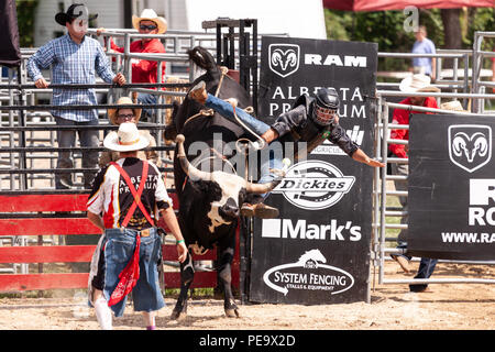 Professionellen Cowboys konkurrieren in den Stier reiten Teil der 2018 Ram Rodeo Tour in Exeter, Ontario, Kanada. Stockfoto