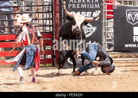 Professionellen Cowboys konkurrieren in den Stier reiten Teil der 2018 Ram Rodeo Tour in Exeter, Ontario, Kanada. Stockfoto