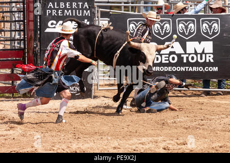 Professionellen Cowboys konkurrieren in den Stier reiten Teil der 2018 Ram Rodeo Tour in Exeter, Ontario, Kanada. Stockfoto