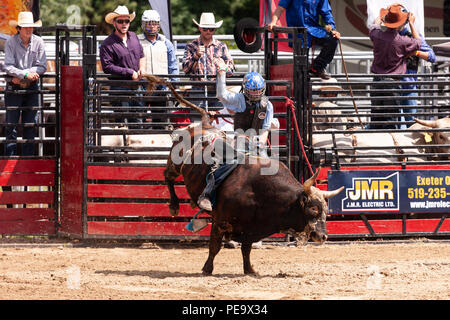 Professionellen Cowboys konkurrieren in den Stier reiten Teil der 2018 Ram Rodeo Tour in Exeter, Ontario, Kanada. Stockfoto