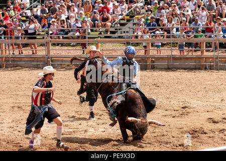 Professionellen Cowboys konkurrieren in den Stier reiten Teil der 2018 Ram Rodeo Tour in Exeter, Ontario, Kanada. Stockfoto