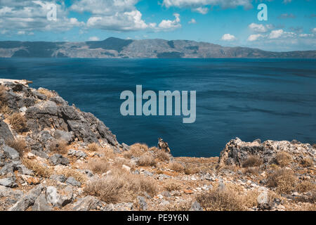 Neugierige Ziegen. Ziegen typisch für Mittelmeer Region mit Blick auf das Meer und die Insel im Hintergrund. Bild auf der griechischen Insel Kreta, bekannt für seine cl Stockfoto