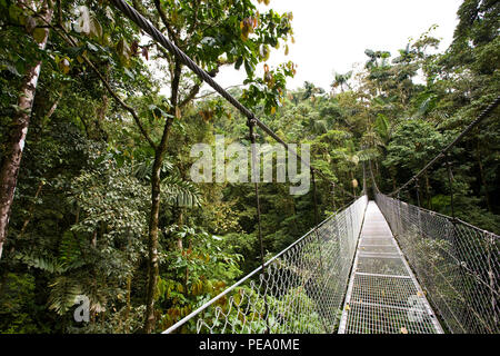 Hängende jungle Bridge Stockfoto