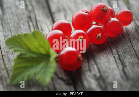 Frische rote Johannisbeeren auf Holz Oberfläche Stockfoto