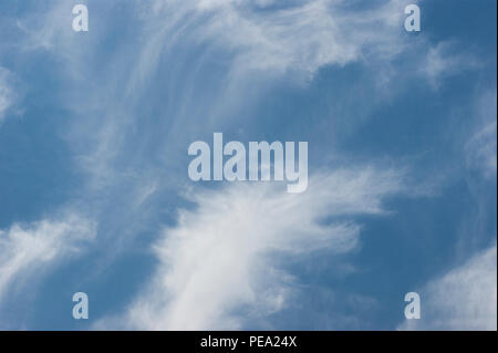 Stratus floccus Wolken in der Mitte des Tages auf den Himmel. Stockfoto
