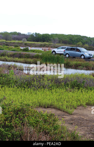 Feuchtgebiete im Kealia Pond National Wildlife Refuge in Kihei, Maui, Hawaii, USA Stockfoto