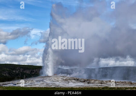 Old Faithful Geiser im Yellowstone National Park in Wyoming ausbrechenden Stockfoto