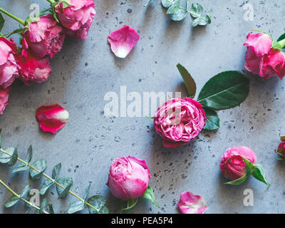 Rosen auf grauem Hintergrund. Flach blumen Zusammensetzung, Ansicht von oben. Stockfoto