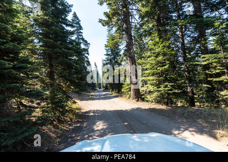 Wald Straße 5 N01 Adler Wiese Straße die Stanislaus National Forest mit einem Schild, was auf 10 MPH, damit kein Staub in das private Eigentum Bereiche Stockfoto