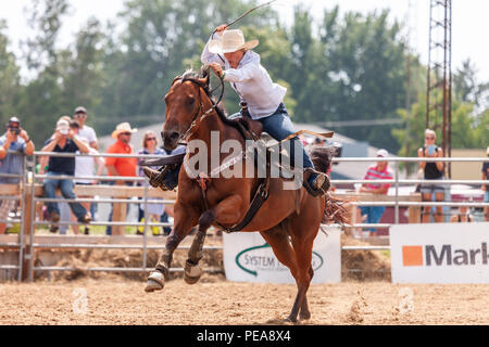 Cowgirls führen ihre quarterhorses durch die Barrel Racing Kurs während der Ram-Ritt Tour in Exeter, Ontario, Kanada. Stockfoto