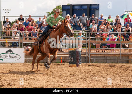 Cowgirls führen ihre quarterhorses durch die Barrel Racing Kurs während der Ram-Ritt Tour in Exeter, Ontario, Kanada. Stockfoto