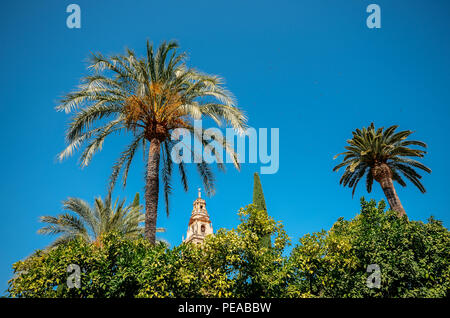 Weitwinkelaufnahme der Glockenturm der Kathedrale La Mezquita in Cordoba, Spanien - UNESCO-Weltkulturerbe unter Palmen Stockfoto