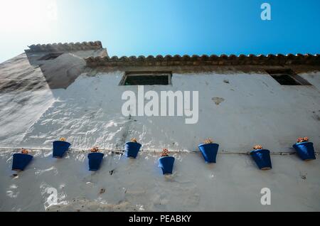 Weiße Wand mit blau Blumentöpfe in Cordoba, Andalusien, Spanien. Stockfoto