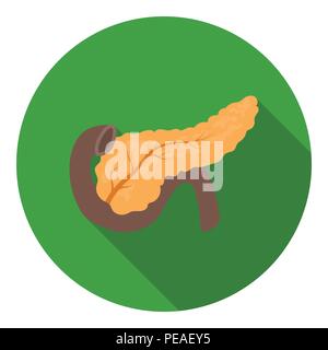 Pankreas Symbol im flachen Stil auf weißem Hintergrund. Organe symbol Vektor Illustration. Stock Vektor