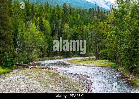 Ein Teil des Bogens Rover in Banff, Kanada schlängelt sich durch den Wald. Die kanadischen Rockies sind im Hintergrund. Stockfoto