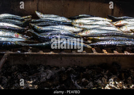 Frische rohe Sardinen auf Grill zubereitet Stockfoto