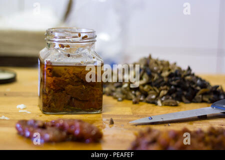 Getrocknete Tomaten, Knoblauch und schwarzen Oliven. Mediterranen Zutaten Stockfoto