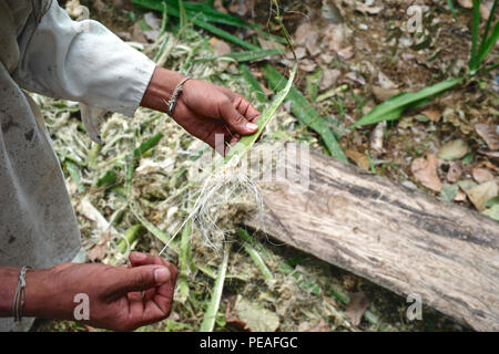 Das verwendete Material bei der Erstellung des traditionellen kogui Rucksäcke. Die Sierra Nevada de Santa Marta ist die Heimat der Überreste der Native American Tair Stockfoto