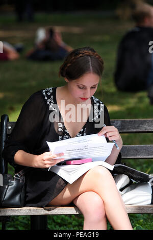 NEW YORK, NY - 05. SEPTEMBER: junge weiße Frau Studium ein Buch, während sitzen auf einer Bank in Washington Square Park, Manhattan am 5. September 2016 in N Stockfoto