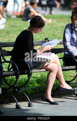 NEW YORK, NY - 05. SEPTEMBER: junge weiße Frau Studium ein Buch, während sitzen auf einer Bank in Washington Square Park, Manhattan am 5. September 2016 in N Stockfoto