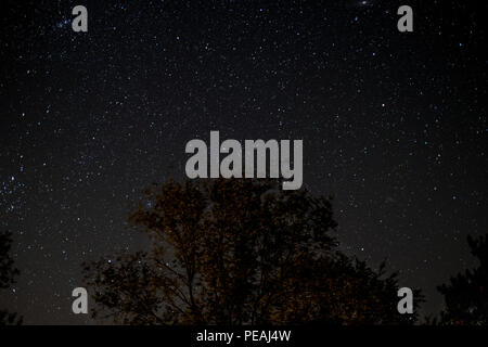 Sternenhimmel bei Nacht - Bäume und Sterne - Stockfoto