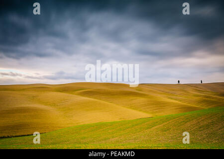 Typische Landschaft im Val D'Orcia, Toskana (Italien) Stockfoto