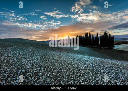 Typische und charakteristische Landschaft, in den Hügeln des Val d'Orcia in der Provinz Siena (Toskana, Italien) Stockfoto
