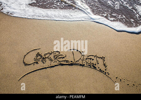 Carpe diem am Strand Stockfoto