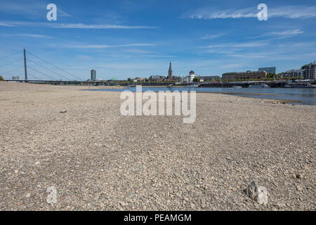 Den Rhein in der Nähe von Düsseldorf, extreme Ebbe, Rheinebene bei 84 cm, nach der langen Trockenheit der linken Rheinseite, trocken bei Düsseldorf Ob fällt Stockfoto