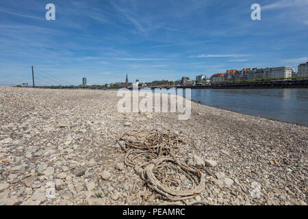 Den Rhein in der Nähe von Düsseldorf, extreme Ebbe, Rheinebene bei 84 cm, nach der langen Trockenheit der linken Rheinseite, trocken bei Düsseldorf Ob fällt Stockfoto