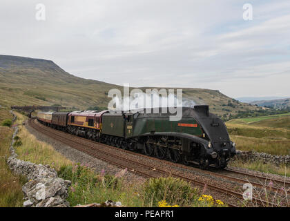 LNER Klasse A4 4488 Union mit Südafrika an aisgill Samstag, 11. August 2018 Settle Carlisle Line Stockfoto