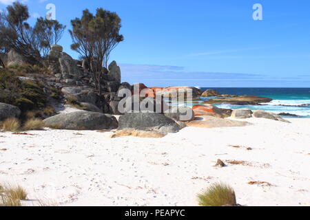 Bay of Fires, Tasmanien Stockfoto