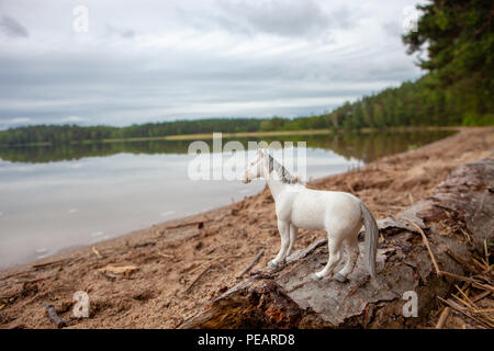 Sandstrand an einem See in einem Wald mit bewölktem Himmel und Bäume, ruhiges Wasser, ruhiger Hintergrund und White Horse Stockfoto