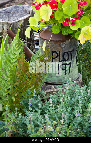 Zuteilung Grundstück Nummer auf der Seite einer alten Metall Bewässerung geschrieben werden kann. Die Dose ist auch als Garten Pflanzmaschine verwendet. Stockfoto