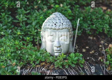 Buddha Kopf mit aromatischen rauchen Stick und grünen Pflanzen um Stockfoto
