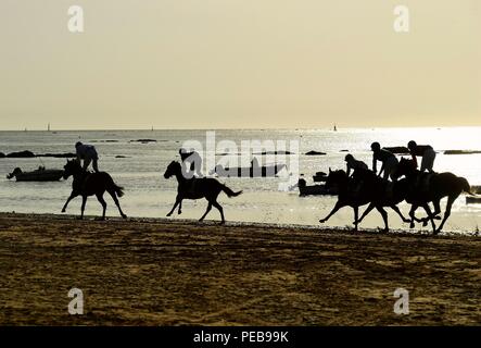 Cadiz, Spanien. 14 Aug, 2018. Die Leute rennen Reiten am Strand von Sanlucar de Barrameda, Provinz Cadiz, Spanien, am 10.08.2018. Quelle: Guo Qiuda) (jmmn/Xinhua/Alamy leben Nachrichten Stockfoto