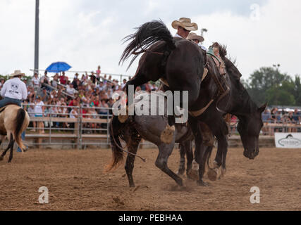 Professionellen Cowboys konkurrieren in der Saddle bronc Teil der 2018 Ram Rodeo Tour in Exeter, Ontario, Kanada. Stockfoto