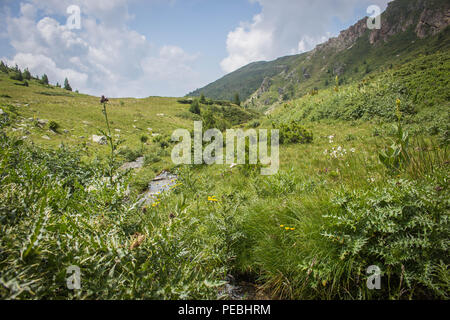 Strom auf dem Sharr moutanin, Piribeg Gipfel zum Kosovo Stockfoto