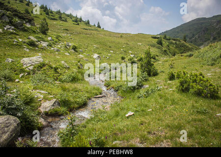 Strom auf dem Sharr moutanin, Piribeg Gipfel zum Kosovo Stockfoto