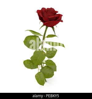 Rote Rose auf weißen isoliert. 3D-Darstellung Stockfoto