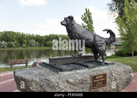 Statue von Hund Shep von Bob Scriver in Fort Benton, Montana, USA Stockfoto