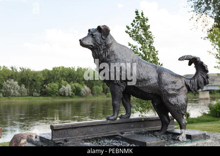 Statue von Hund Shep von Bob Scriver in Fort Benton, Montana, USA Stockfoto