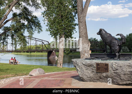 Statue von Hund Shep von Bob Scriver in Fort Benton, Montana, USA Stockfoto