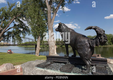 Statue von Hund Shep von Bob Scriver in Fort Benton, Montana, USA Stockfoto